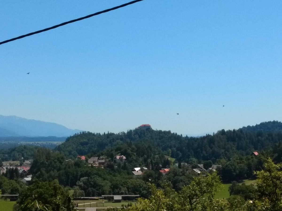 Pr' Hribar Apartment Zgornje Gorje Exterior foto