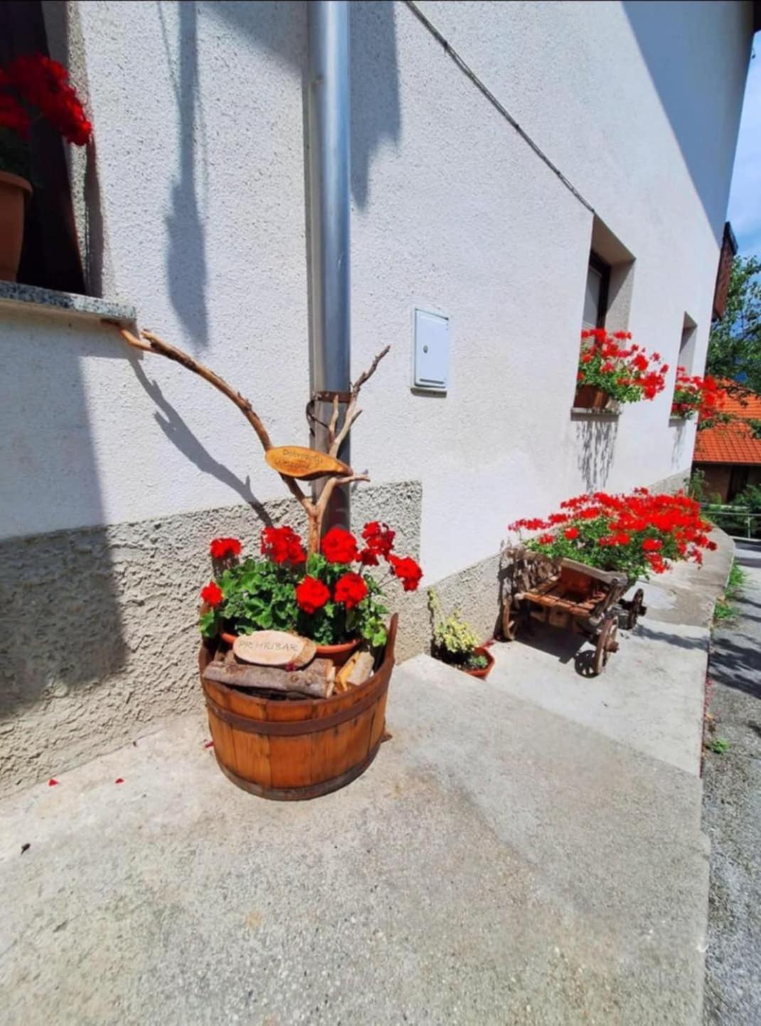 Pr' Hribar Apartment Zgornje Gorje Exterior foto
