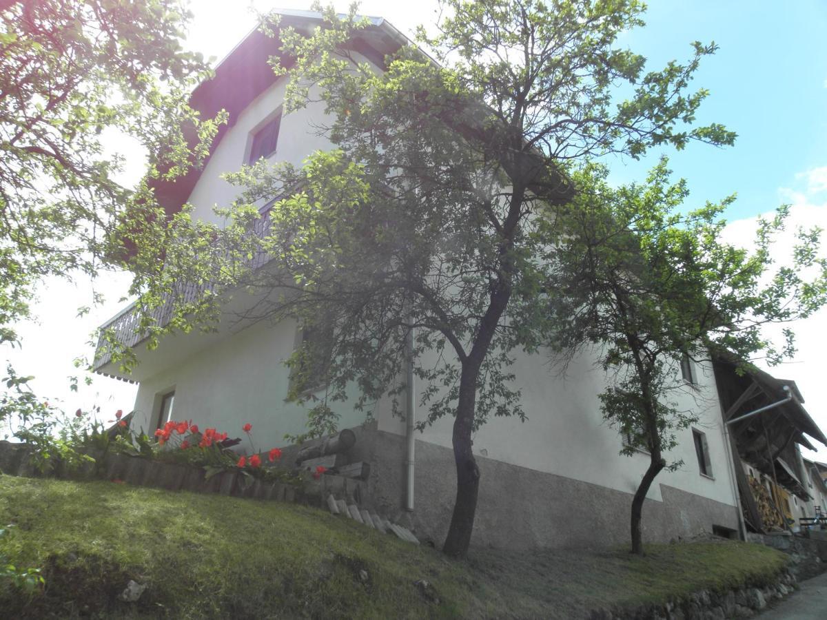 Pr' Hribar Apartment Zgornje Gorje Exterior foto